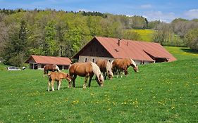 Gîte du cheval blanc